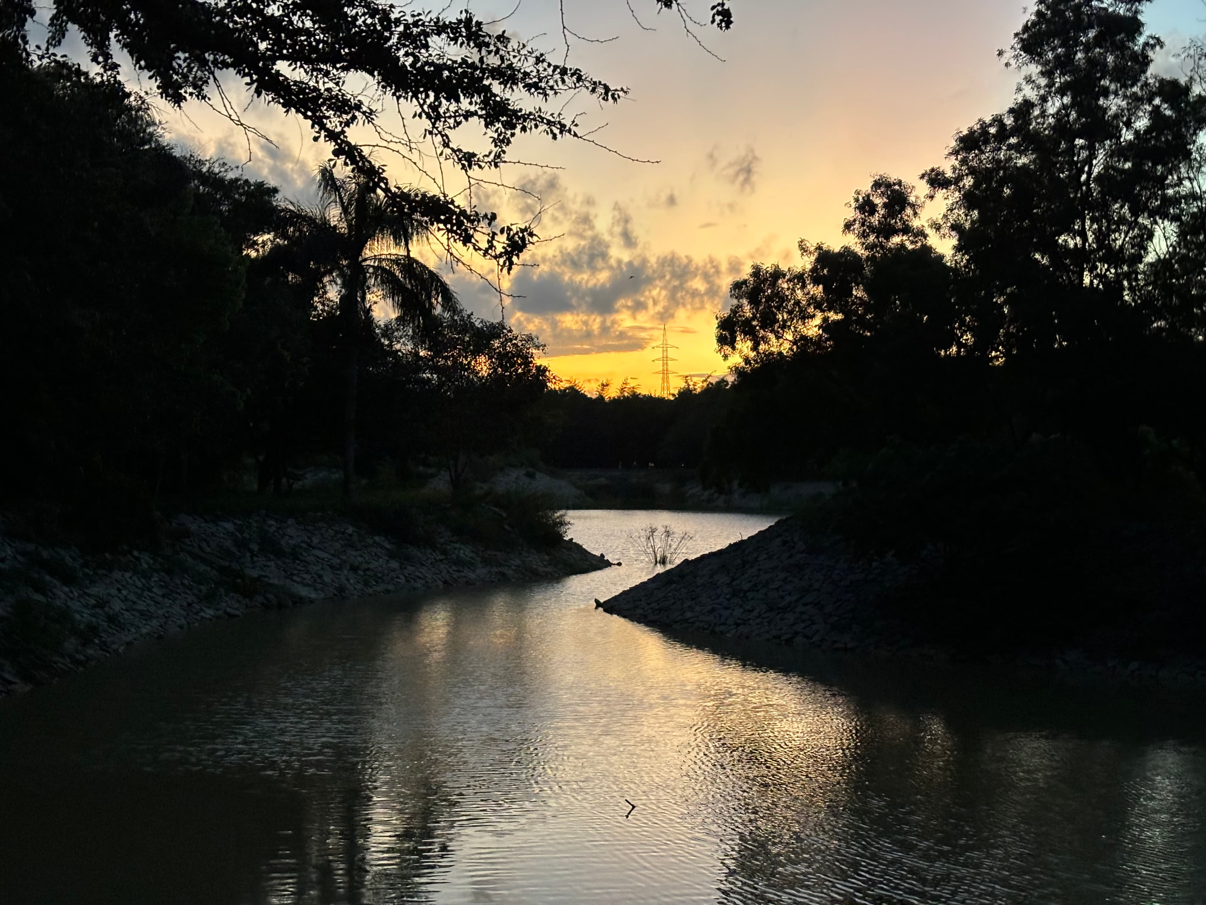 stillness